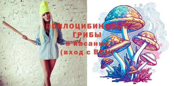 крисы Алексин