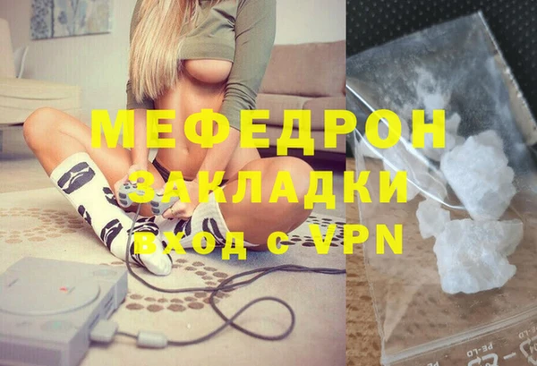 стаф Алзамай