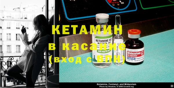 стаф Алзамай