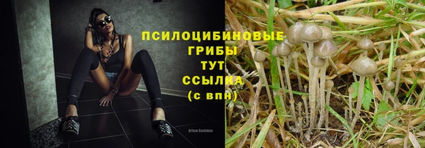 ECSTASY Корсаков