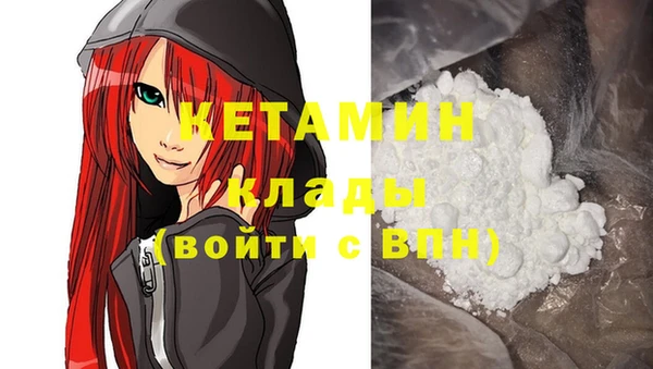 стаф Алзамай